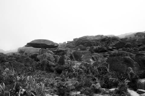 Arriba del roraima