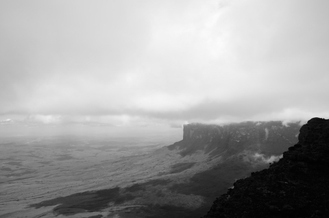 El kukenan desde el roraima