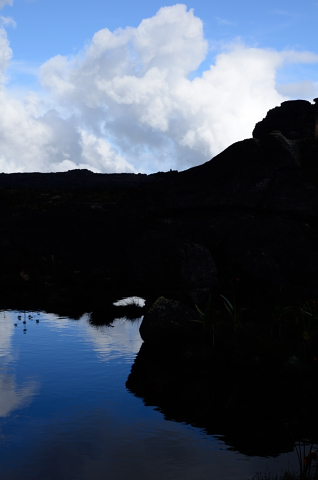 Agua en el roraima