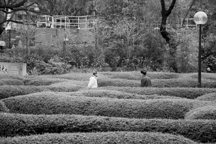 Parque de Kowloon