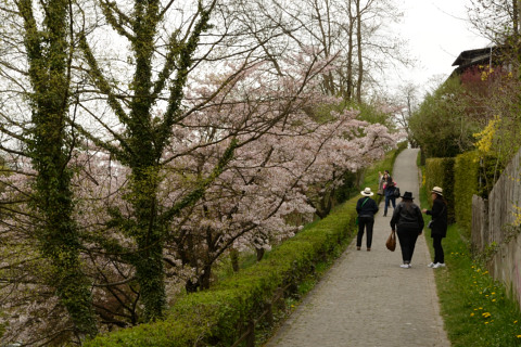 Bern-20150416_121431_web