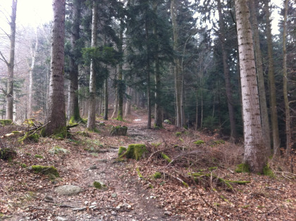 Creux du Van-20150315_114924_web