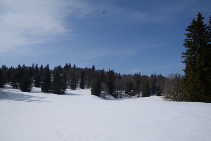 Creuxduvan-20150315_135034_web