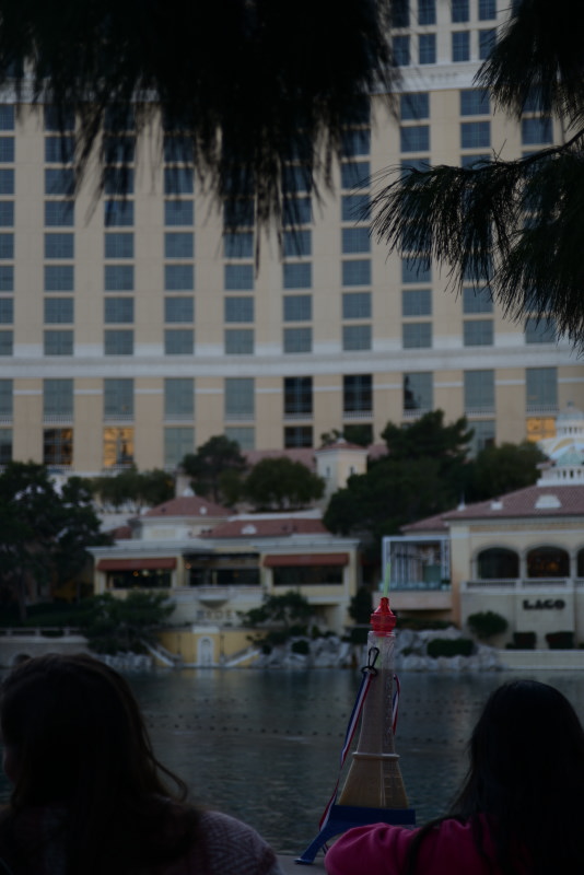 vegas_20161228_010329