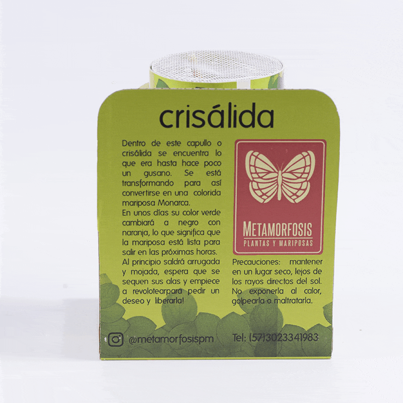 tarro_pupa_mari_optimize