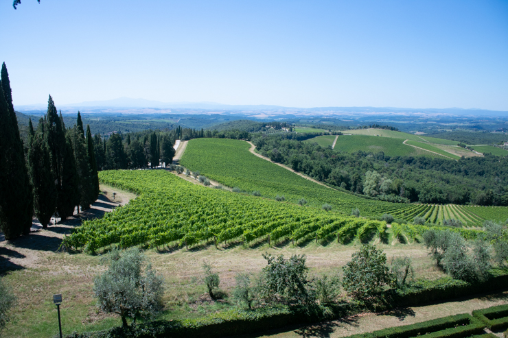 Chianti