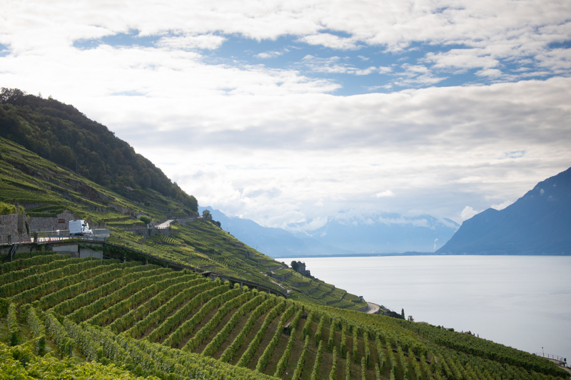Les terraces de Lavaux cerca a Lausanne
