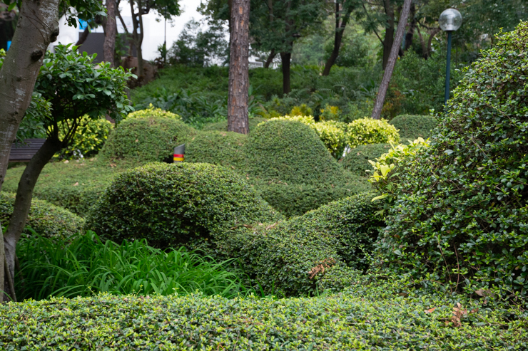 Jardines del parque de Kowloon