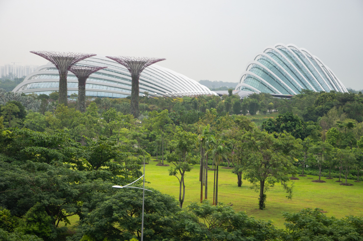 El jardín botánico de Singapur