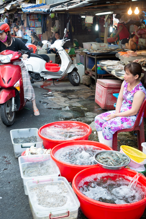Peces y animalejos desconocidos en poncheras, Ho Chi Minh