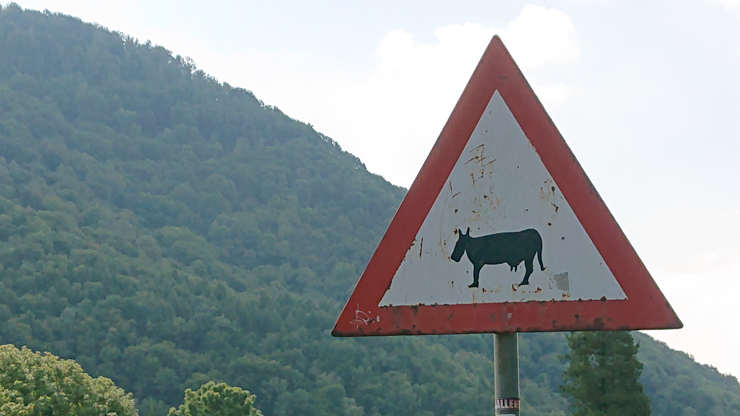 Cuidado con el Hipo-burro-vaca